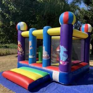 C01E18DC-9A68-4B9E-9155-3E650D604726_1_105_c